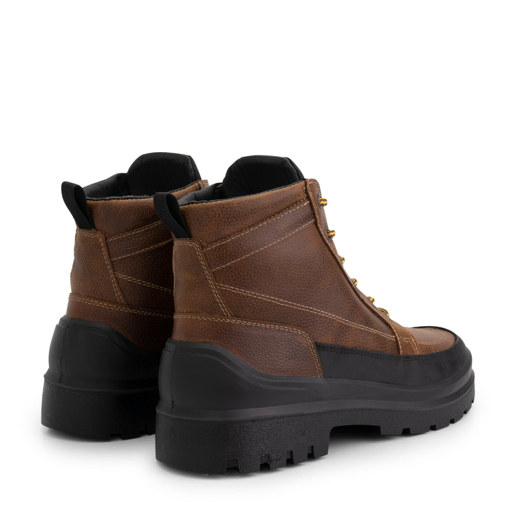 Canmore Cognac BD