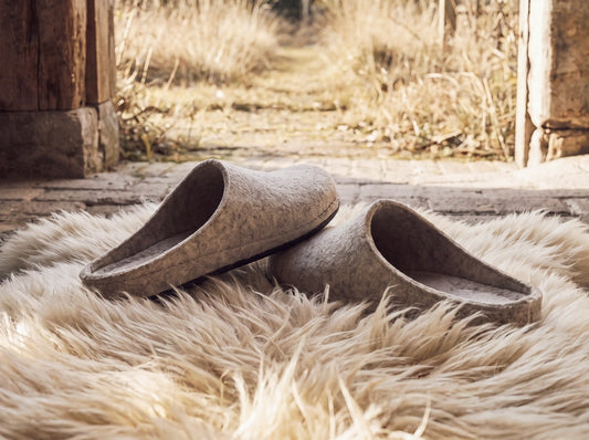 House slippers