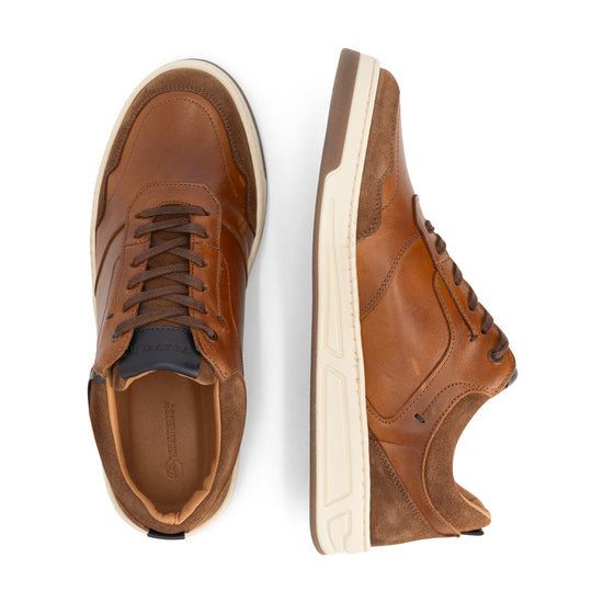 Darley Men - Sneakers - Leather - Cognac UPD