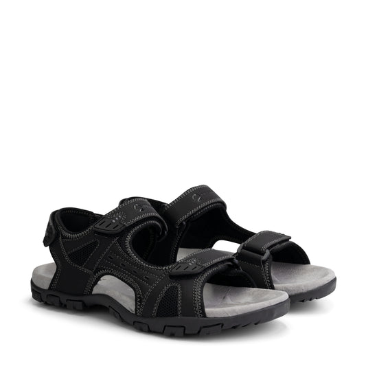 Horten Black FRD