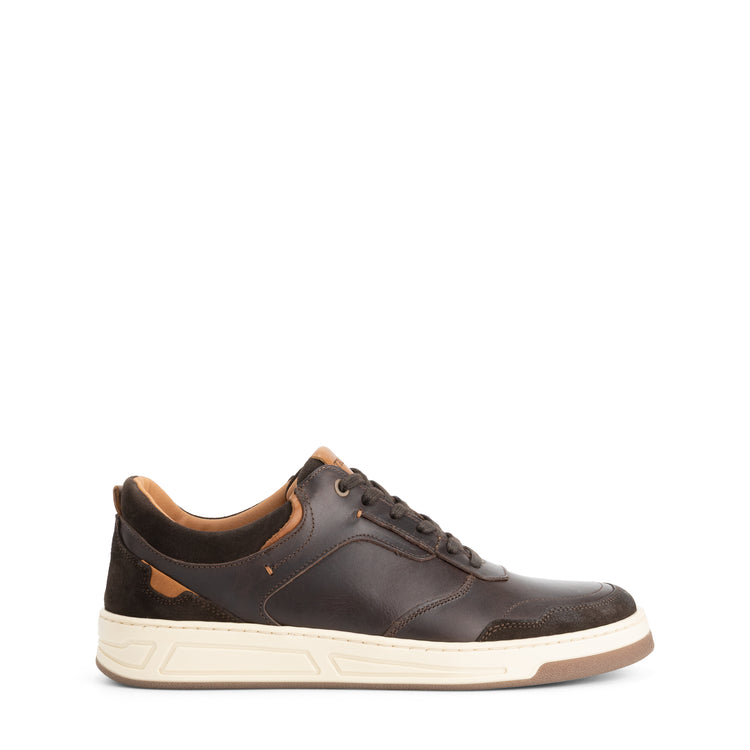 Darley Men - Sneakers - Leather - Dark brown R
