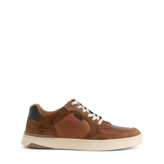 Burnham - Leather sneaker - Men - Cognac R