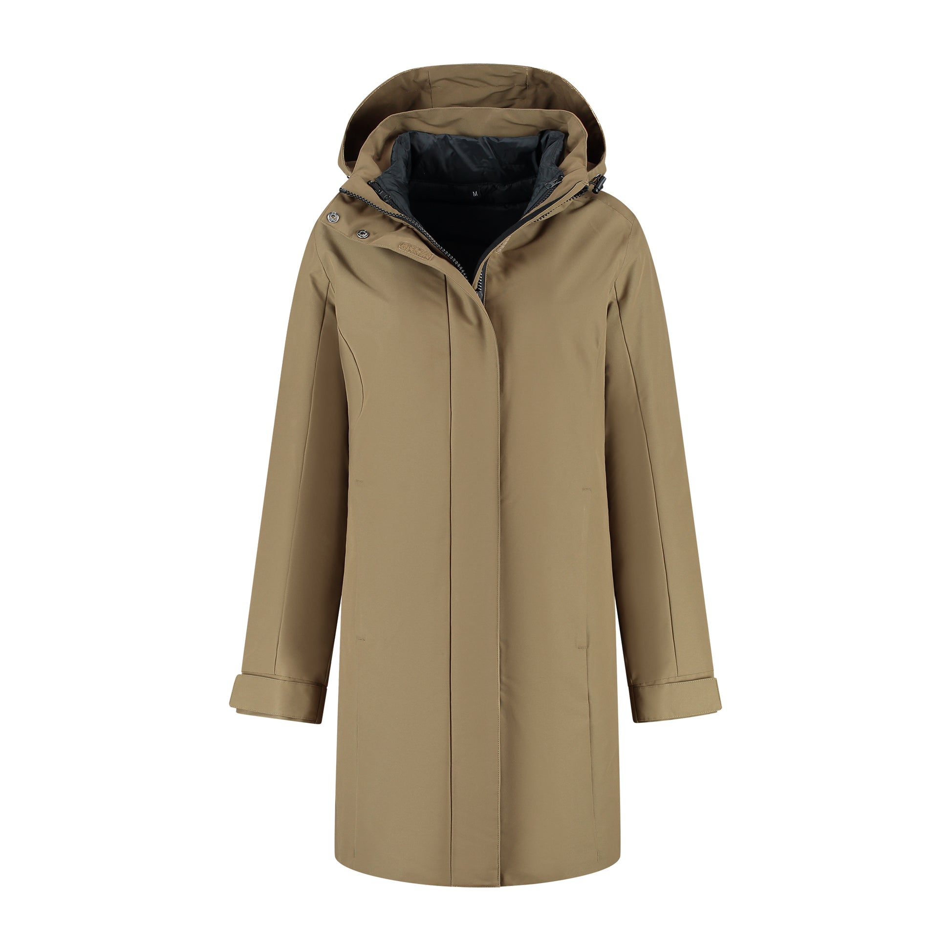 Ginser Brown F